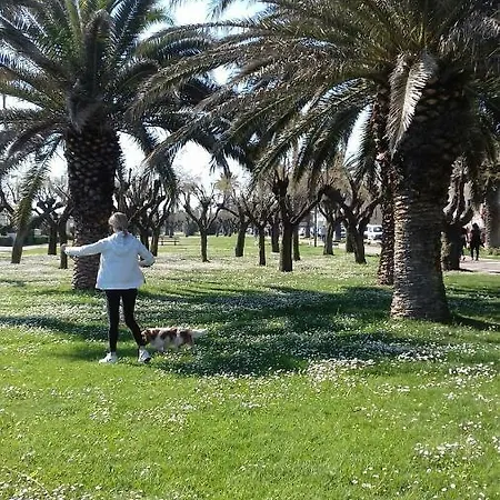 Σπίτι διακοπών Terrazza Sul Mare Porto SantʼElpidio
